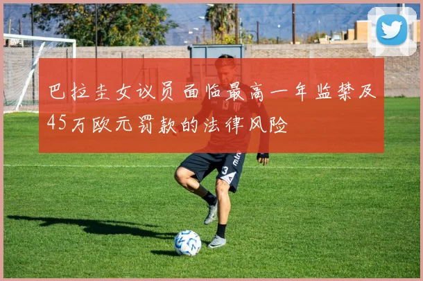 巴拉圭女议员面临最高一年监禁及45万欧元罚款的法律风险
