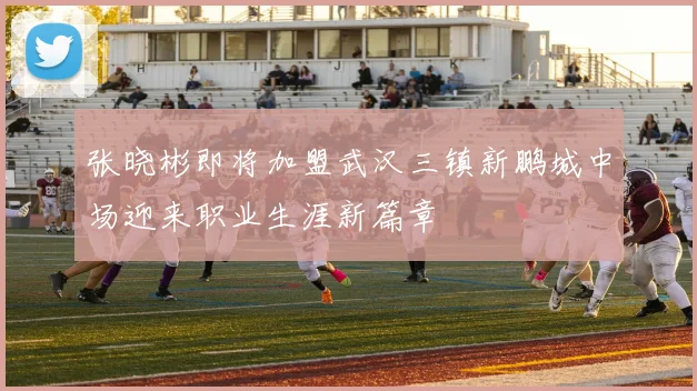 张晓彬即将加盟武汉三镇新鹏城中场迎来职业生涯新篇章