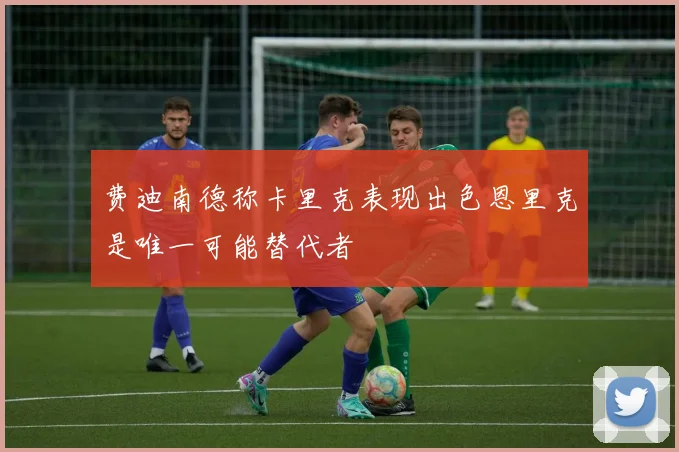 费迪南德称卡里克表现出色恩里克是唯一可能替代者