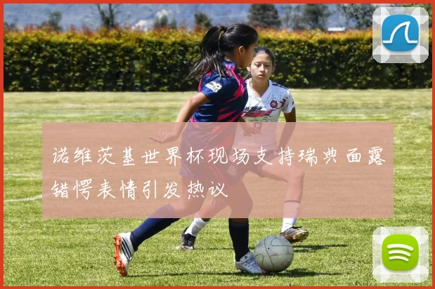 诺维茨基世界杯现场支持瑞典面露错愕表情引发热议